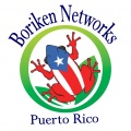 Boriken Round Logo.jpg